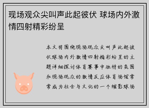 现场观众尖叫声此起彼伏 球场内外激情四射精彩纷呈